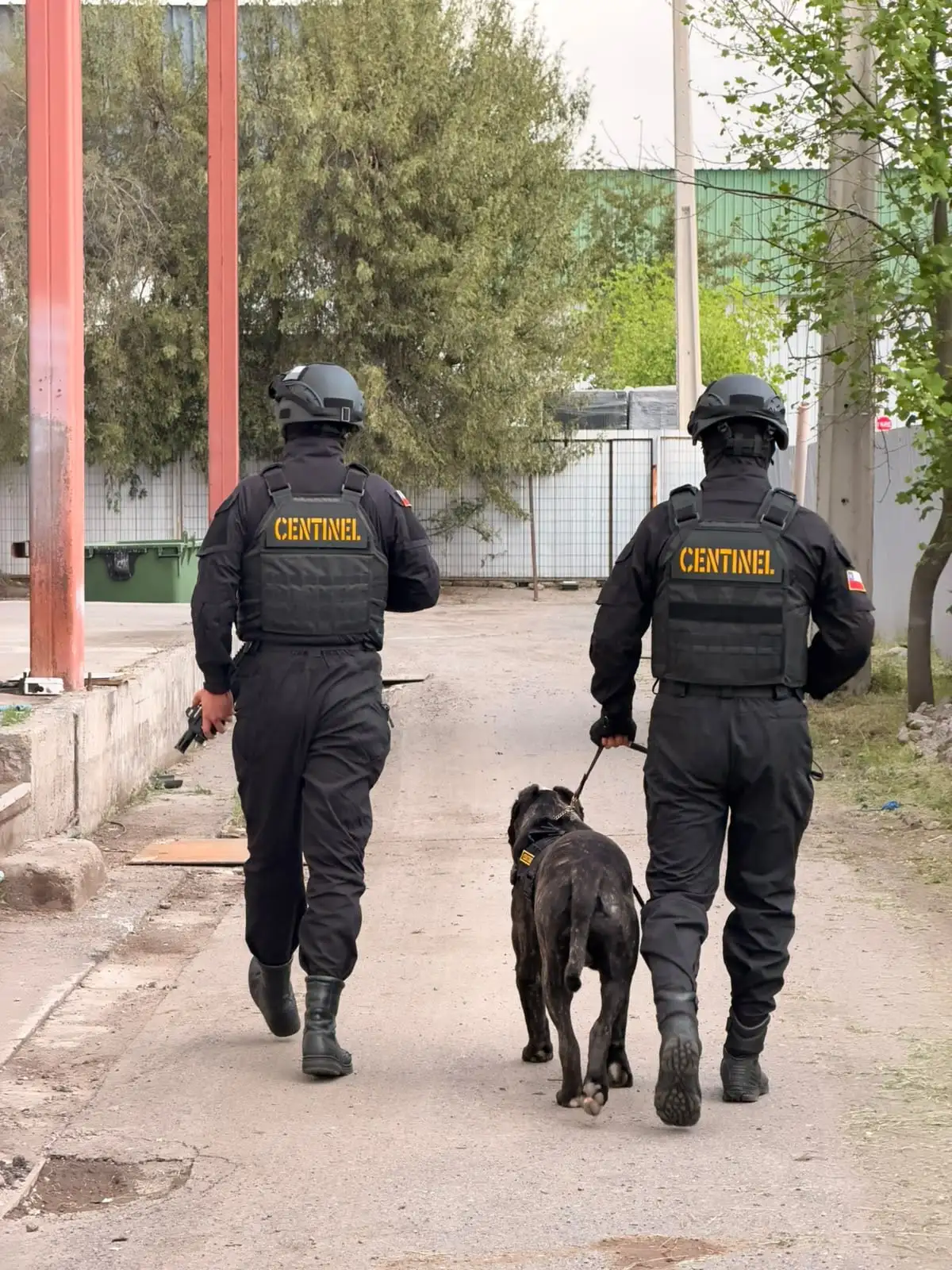 Patrulla canina de seguridad Centinel